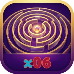 x06